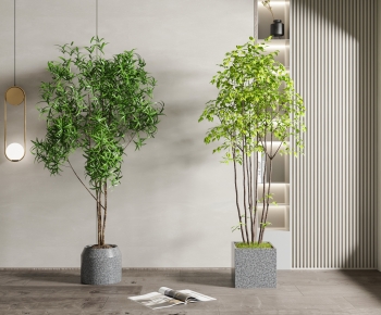 Modern Ground Green Plant Potted Plants-ID:590706119