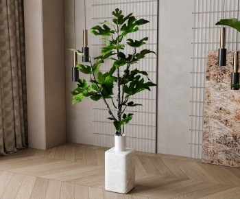 Modern Ground Green Plant Potted Plants-ID:147309383
