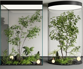 现代室内植物造景3D模型