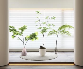 Modern Ground Green Plant Potted Plants-ID:493216993