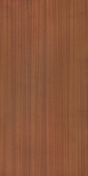 ModernWood Texture