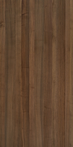 ModernWood Texture