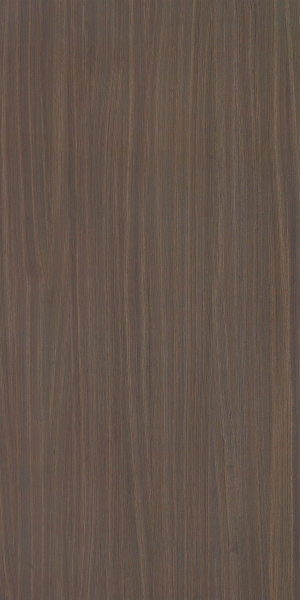 ModernWood Texture