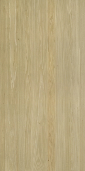 ModernWood Texture