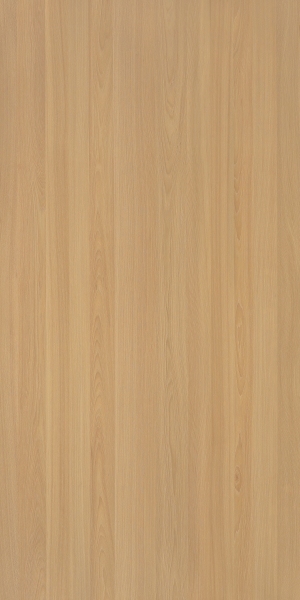 ModernWood Texture