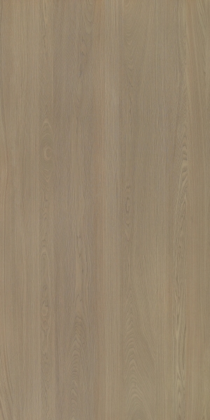 ModernWood Texture