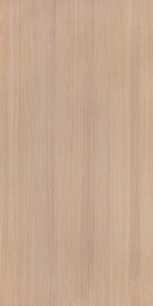 ModernWood Texture