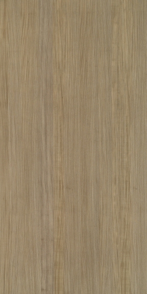 ModernWood Texture