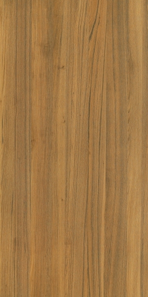 ModernWood Texture