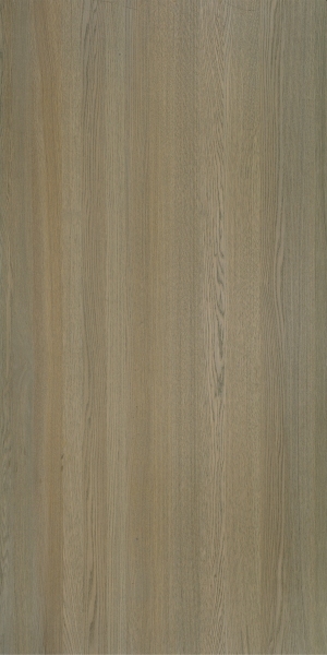 ModernWood Texture