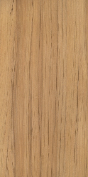 ModernWood Texture