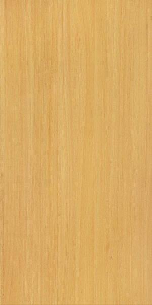 ModernWood Texture