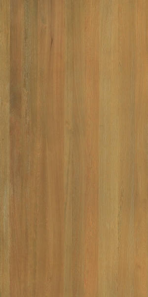 ModernWood Texture