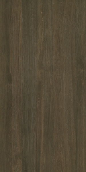 ModernWood Texture