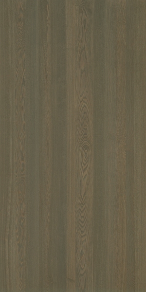 ModernWood Texture