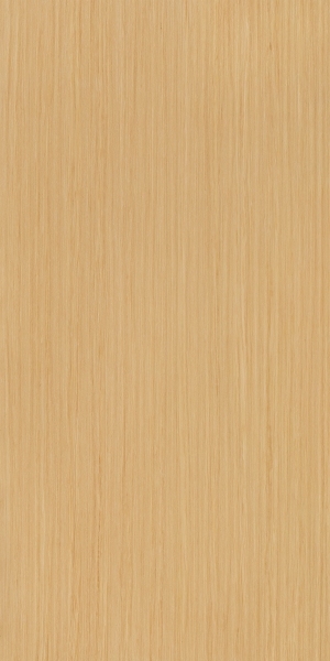 ModernWood Texture