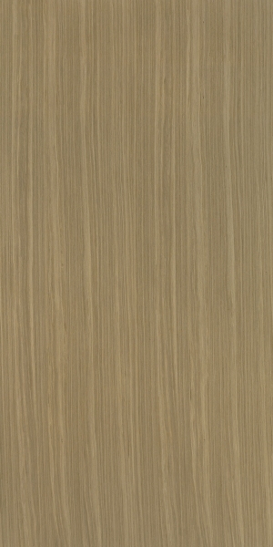 ModernWood Texture