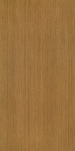 ModernWood Texture