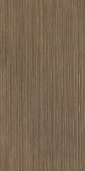 ModernWood Texture