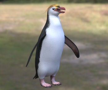 现代皇家企鹅-ID:188370942
