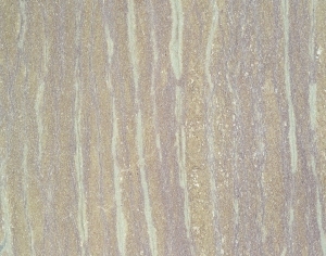 ModernMarble Tiles