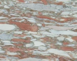 ModernMarble Tiles