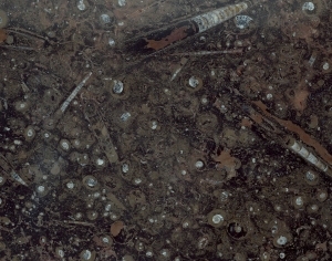 ModernMarble Tiles