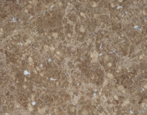 ModernMarble Tiles