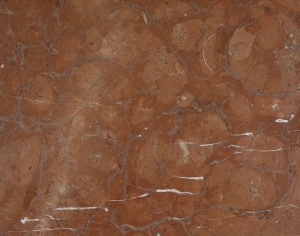 ModernMarble Tiles