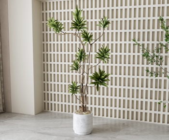 Modern Ground Green Plant Potted Plants-ID:737474927