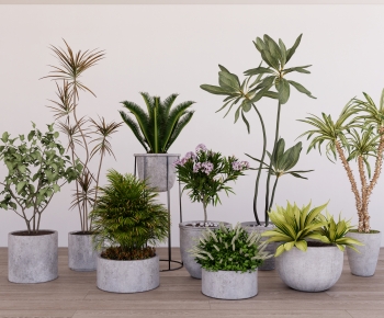 Modern Ground Green Plant Potted Plants-ID:892745971