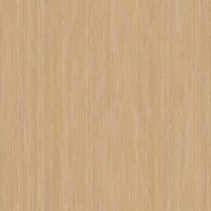 ModernWood Texture