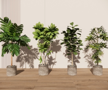 Modern Ground Green Plant Potted Plants-ID:787586938