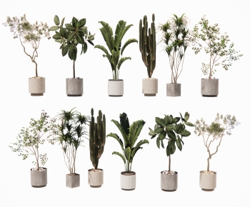 Modern Ground Green Plant Potted Plants-ID:827995063