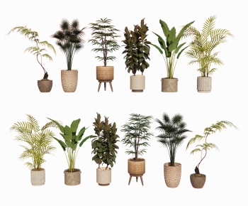 Modern Ground Green Plant Potted Plants-ID:648757931