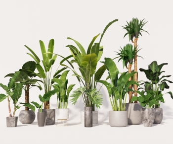 Modern Ground Green Plant Potted Plants-ID:852828032