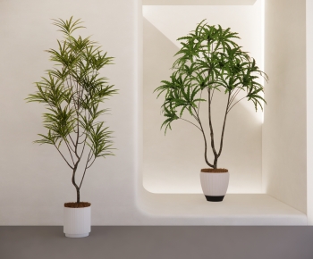 Modern Ground Green Plant Potted Plants-ID:818669836