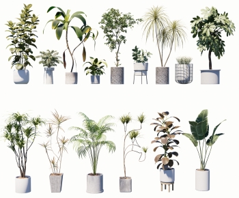 Modern Ground Green Plant Potted Plants-ID:339565991