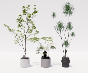 Modern Ground Green Plant Potted Plants-ID:742568974