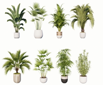 Modern Ground Green Plant Potted Plants-ID:381771099