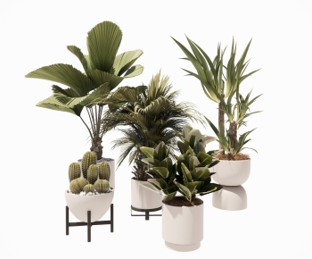 Modern Ground Green Plant Potted Plants-ID:614190113