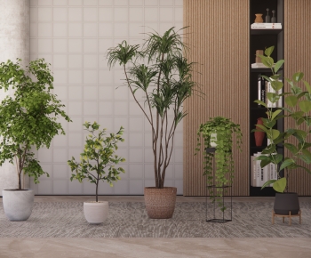 Modern Ground Green Plant Potted Plants-ID:449984077