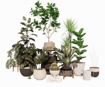 Modern Ground Green Plant Potted Plants-ID:904432061