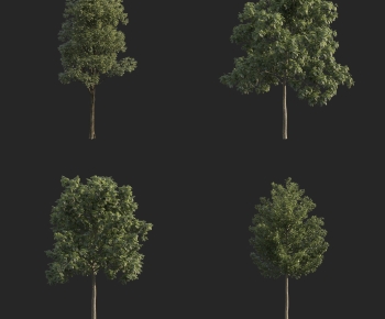 Modern Tree-ID:100213053