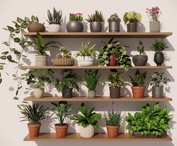 现代桌面绿植盆栽摆件组合3D模型