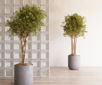 Modern Ground Green Plant Potted Plants-ID:618316898
