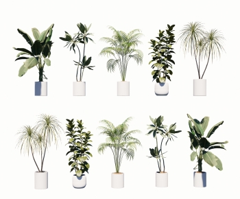 Modern Ground Green Plant Potted Plants-ID:453423984