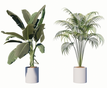 Modern Ground Green Plant Potted Plants-ID:644301896