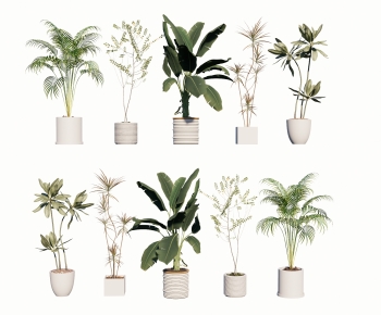 Modern Ground Green Plant Potted Plants-ID:751386889