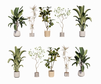 Modern Ground Green Plant Potted Plants-ID:618889093